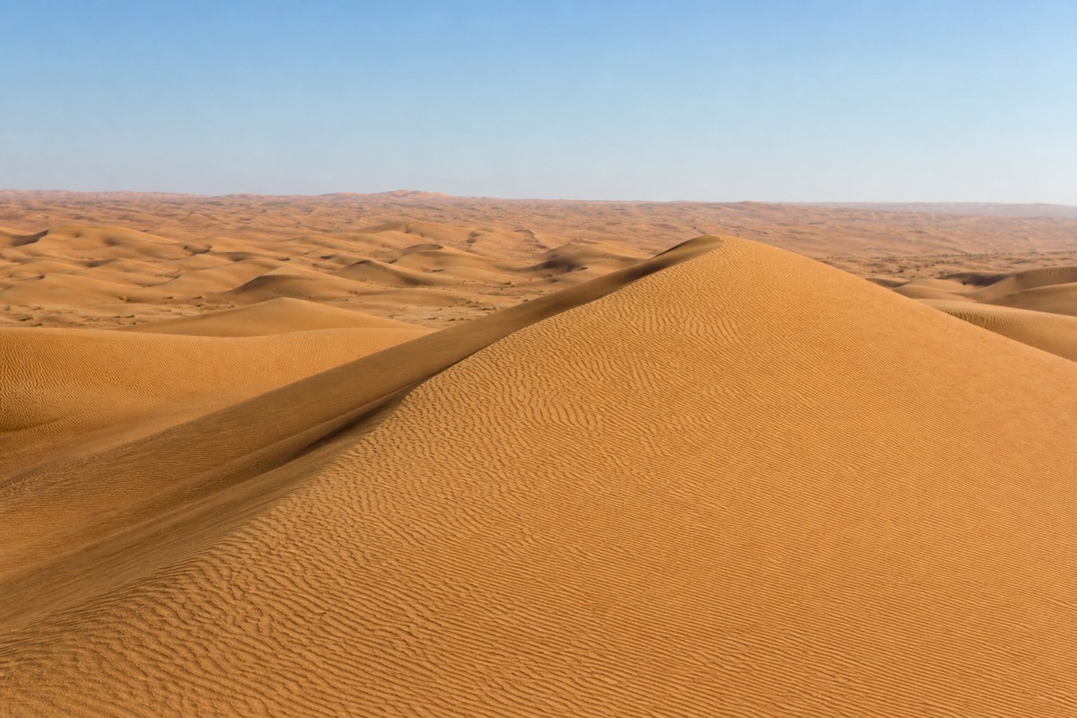 Golden dunes of Wahiba Sands glowing at low sun with rippled ridgelines