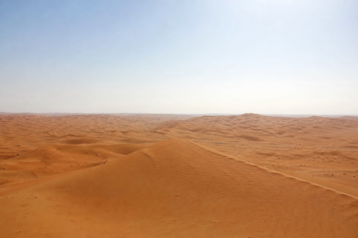 The vast golden dune sea of eastern Oman stretching to the horizon