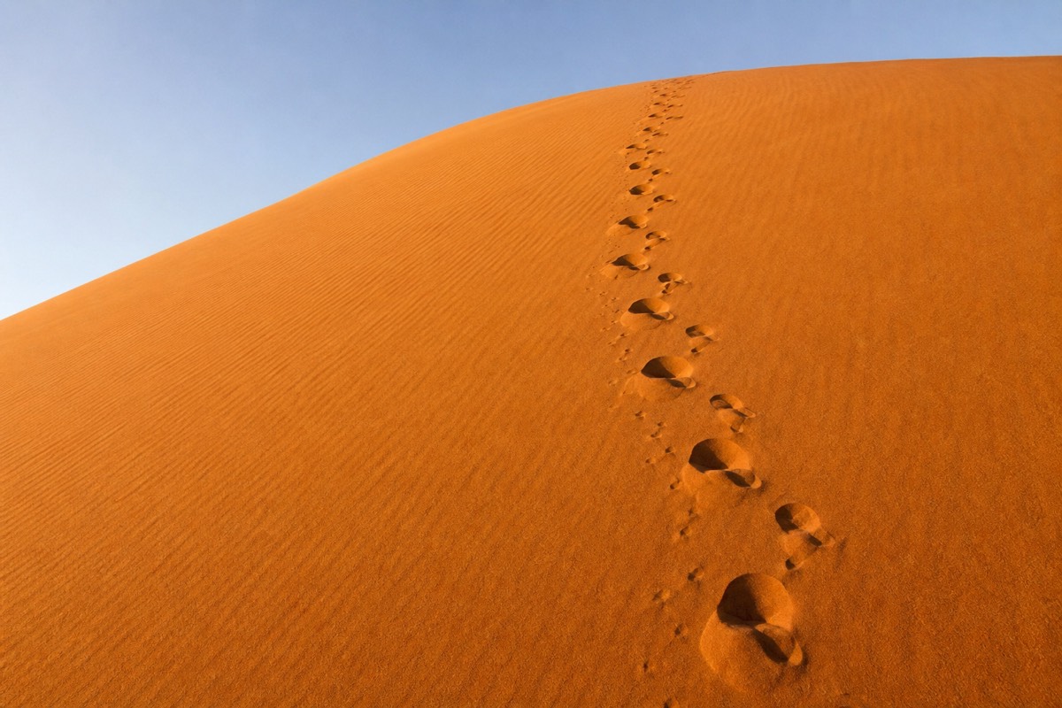 The golden dunes of Wahiba Sands, Oman