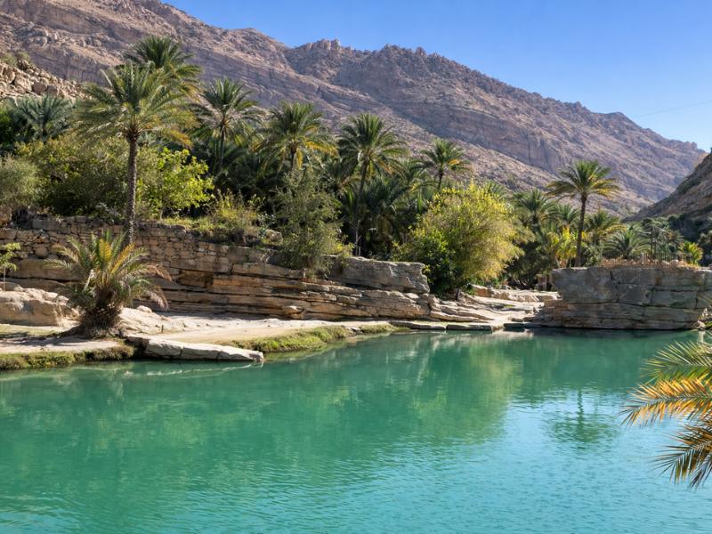 Desert Safari Group Tour – Sunset, Camel Ride & Entertainment