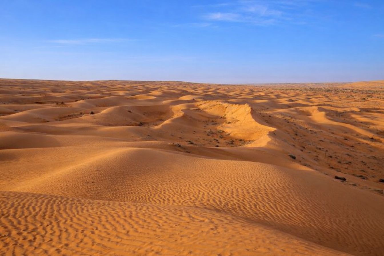 Experience Golden Dunes and Bedouin Culture with Local Guides