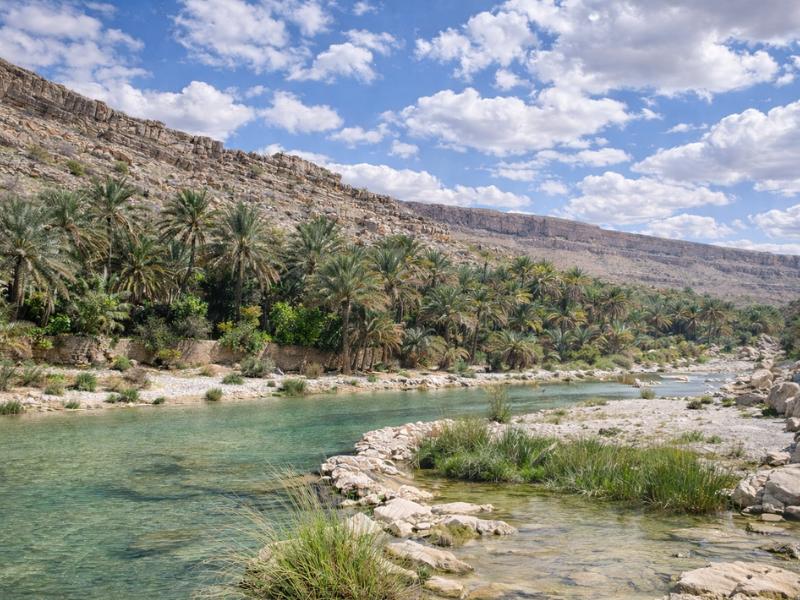 our mission in Wahiba